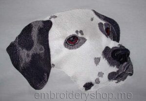 Dalmatian_dog0010