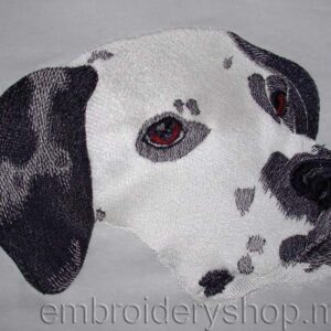 Dalmatian_dog0010
