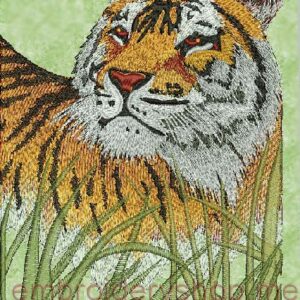 Tiger_tgr0008