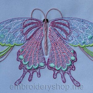 Butterfly_bfl0007