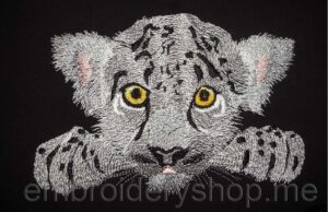 Lion cub_lio0002