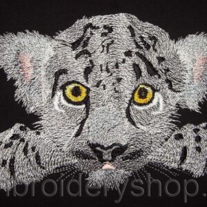 Lion cub_lio0002