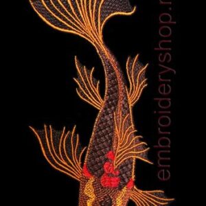 Brown Koi Carp_fsh0003