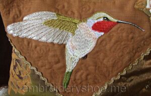 Hummingbird_brd0009
