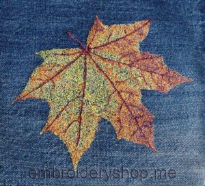 Leaf_Lvs0001
