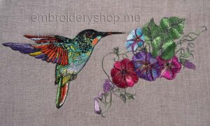 Hummingbird and Morning glory_brd0011