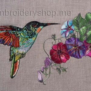 Hummingbird and Morning glory_brd0011