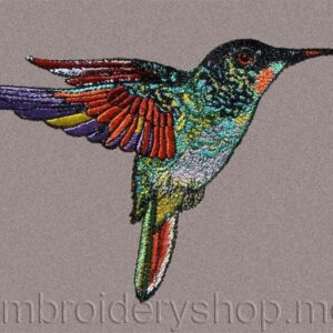 Hummingbird_brd0012