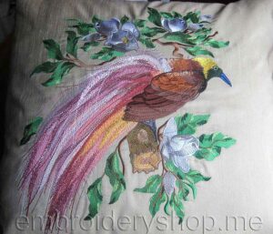 Bird of paradise_brd0007