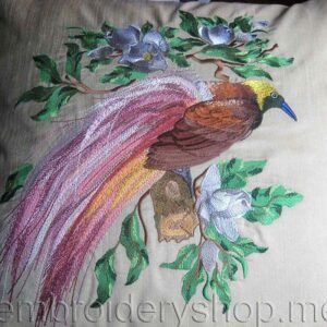 Bird of paradise_brd0007