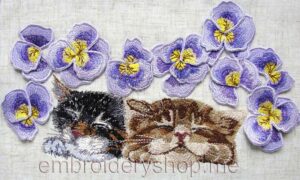 Kittens_cat0008