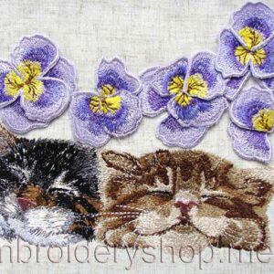 Kittens_cat0008