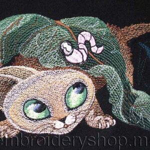 Little Robert_cat0009