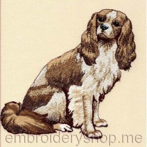 Dog_dog0008