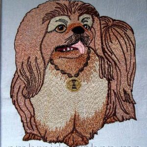Pekingese_dog0009