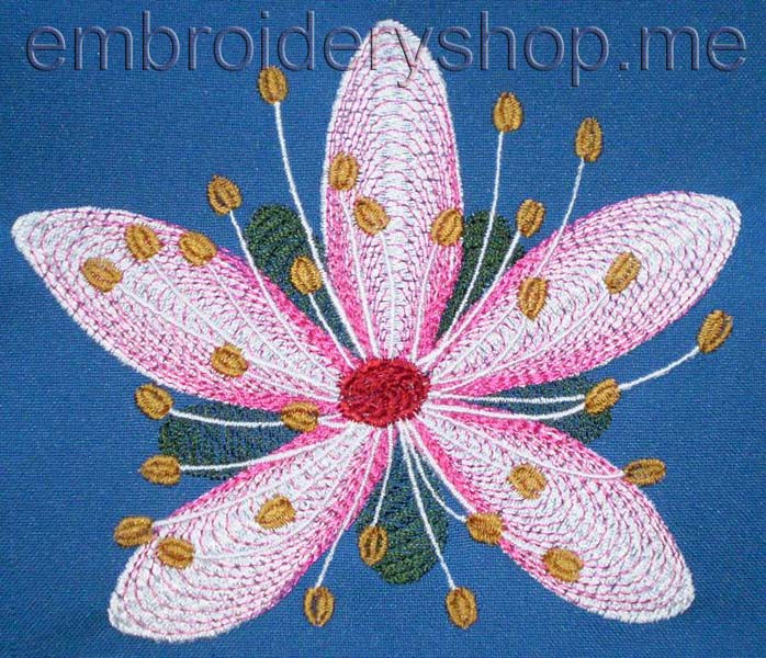 Flower_flw0027