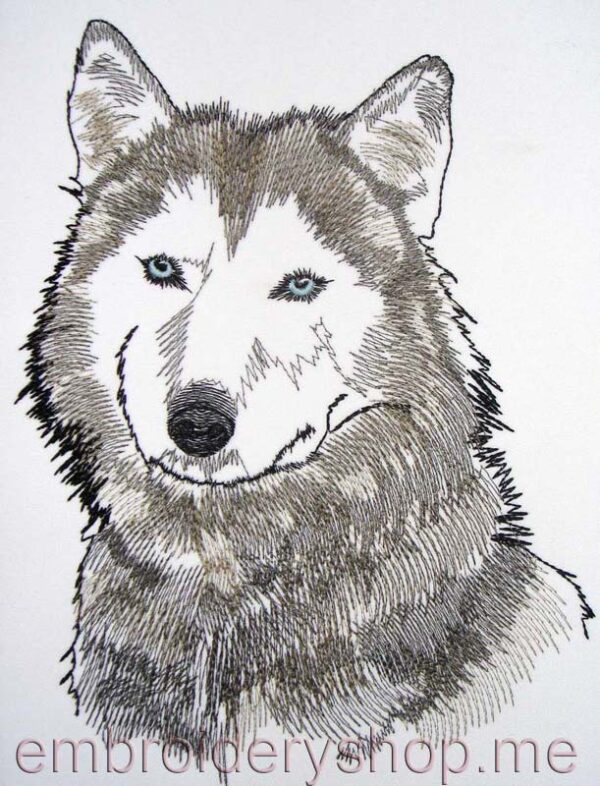 Wolf_wlf0003