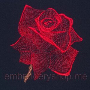 Rose_medium size_flw0022