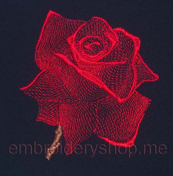 Rose_medium size_flw0022