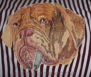 Dog_dog0011