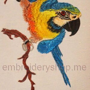Parrot_brd0002