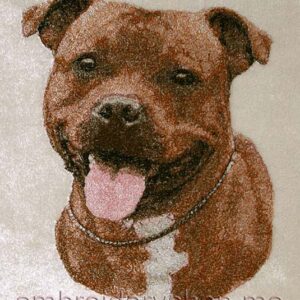 Staffordshire bull terrier_dog0012