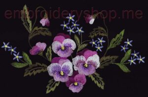 Pansies_flw0016