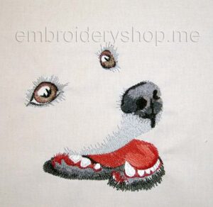 Angel dog_dog0004