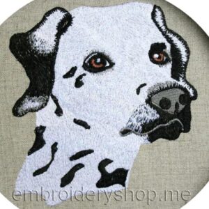 Dalmatian_dog0006
