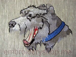 Terrier_dog0007