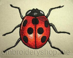 Ladybird_int0001