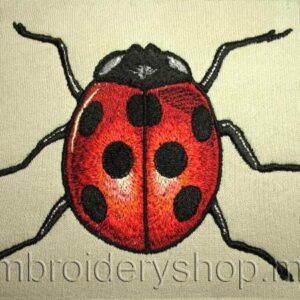 Ladybird_int0001