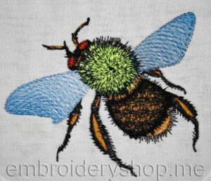 Bumblebee_int0002