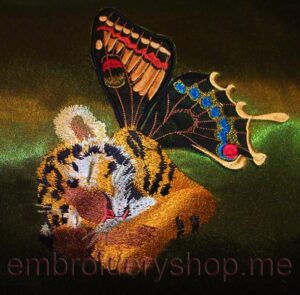 Tiger cub_tgr0015