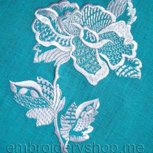 Rose_flw0019