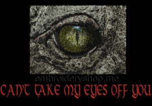 Eye_anm0006