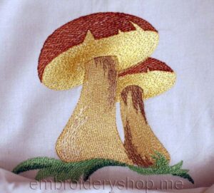 Mushroom_Lvs0002