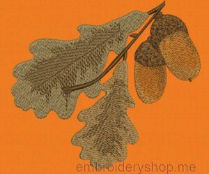 Acorns_Lvs0003
