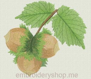 Hazelnut_Lvs0004