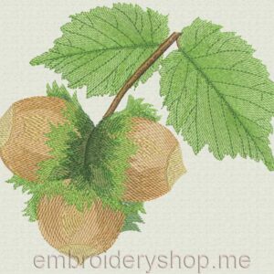 Hazelnut_Lvs0004