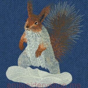 Squirrel_anm0010