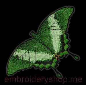 Butterfly_bfl0008