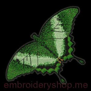 Butterfly_bfl0008