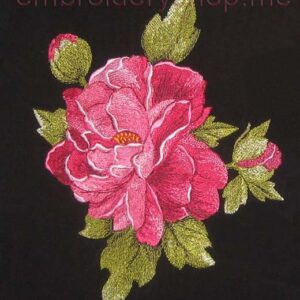 Peony_flw0029