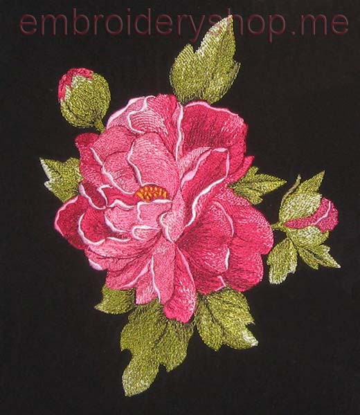 Peony_flw0029