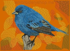 Bird_brd0014