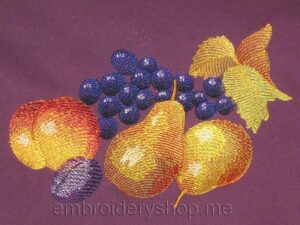 Fruit_frt0002