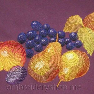 Fruit_frt0002