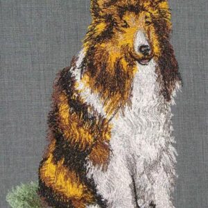 Сollie_dog0016
