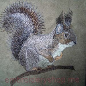 Squirrel_anm0019